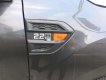 Ford Ranger 2019 - Bán ô tô Ford Ranger XL năm 2019, nhập khẩu
