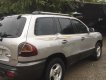 Hyundai Santa Fe 2003 - Bán Hyundai Santa Fe đời 2003, màu bạc, xe nhập số sàn