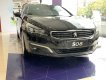 Peugeot 5008    2019 - Ưu đãi giá xe Peugeot 508 Nhập khẩu 2015 | Tại Thái Nguyên 