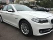 BMW 5 Series   2014 - Bán BMW 520i sản xuất 2014, màu trắng, nhập khẩu  