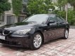 BMW 5 Series 525i 2006 - Cần bán lại xe BMW 5 Series 525i đời 2006, màu đen, nhập khẩu  