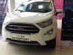 Ford EcoSport 2019 - Bán xe Ford EcoSport đời 2019, màu trắng