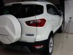 Ford EcoSport 2019 - Bán xe Ford EcoSport đời 2019, màu trắng