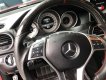 Mercedes-Benz C class C300 AMG 2013 - Cần bán gấp Mercedes C300 Plus AMG năm sản xuất 2013, màu đỏ