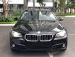 BMW 5 Series 520i 2015 - Cần bán xe BMW 5 Series 520i đời 2015, màu xanh lam, nhập khẩu nguyên chiếc