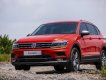 Volkswagen Tiguan 2019 - Xe Đức Tiguan AllSpace 7 chỗ duy nhất dưới 2 tỷ nay lại còn giảm giá sốc, hotline: 0906876854