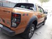 Ford Ranger 2019 - Bán ô tô Ford Ranger Wildtrack 2.0 Biturbo sản xuất 2019, màu vàng, nhập khẩu nguyên chiếc chính chủ