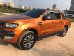 Ford Ranger 2016 - Cần bán xe Ford Ranger 3.2L 4x4 sản xuất năm 2016, nhập khẩu nguyên chiếc