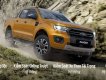 Ford Ranger XLS AT, XLS MT, Wildtrak 2019 - Bán ô tô Ford Ranger năm 2019, màu nâu vàng, nhập khẩu nguyên chiếc, giá chỉ 650 triệu