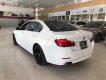 BMW 5 Series 520i 2012 - Xe BMW 5 Series 520i năm 2012, màu trắng, xe nhập như mới