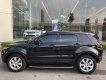 LandRover Evoque   2017 - Bán LandRover Evoque đời 2017, xe nhập