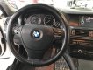 BMW 5 Series 520i 2012 - Xe BMW 5 Series 520i năm 2012, màu trắng, xe nhập như mới
