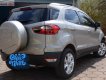 Ford EcoSport Titanium 1.5L AT 2016 - Bán Ford EcoSport Titatinum năm sản xuất 2016, màu bạc, nhập khẩu 