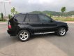 BMW X5 2003 - Cần bán BMW X5 2003, màu đen, nhập khẩu nguyên chiếc chính hãng