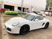 Porsche Cayman 2009 - Bán Porsche Cayman đời 2009, màu trắng, xe nhập chính hãng