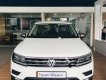 Volkswagen Tiguan 2019 - Bán xe Volkswagen Tiguan đời 2019, màu trắng, nhập khẩu nguyên chiếc