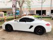 Porsche Cayman 2009 - Bán Porsche Cayman đời 2009, màu trắng, xe nhập chính hãng