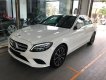 Mercedes-Benz C class 2019 - Mercedes C200 2019, giá KM còn 1.329 tỷ