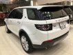 LandRover Discovery   2018 - Bán LandRover Discovery Sport HSE Luxury 2018, màu trắng, xe nhập, số tự động