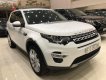 LandRover Discovery   2018 - Bán LandRover Discovery Sport HSE Luxury 2018, màu trắng, xe nhập, số tự động