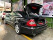 Mercedes-Benz E class 2008 - Bán ô tô Mercedes E200 sản xuất 2008, màu đen, nhập từ Đức