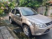 Ford Escape   2010 - Bán ô tô Ford Escape 2010, màu hồng xe còn mới lắm