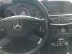 Mercedes-Benz E class 2009 - Bán Mercedes E250 năm sản xuất 2009, giá tốt