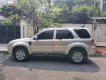 Ford Escape   2010 - Bán ô tô Ford Escape 2010, màu hồng xe còn mới lắm