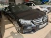 Mercedes-Benz E class Mercedes Benz E class E400 A 2013 - Bán xe Mercedes E400 AMG đời 2013, màu đen