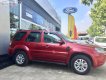 Ford Escape 2010 - Bán ô tô Ford Escape sản xuất 2010, màu đỏ số tự động