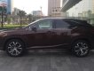 Lexus NX 2017 - Cần bán Lexus NX đời 2017, màu nâu, nhập khẩu nguyên chiếc chính hãng