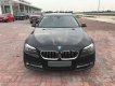 BMW 5 Series   2014 - Cần bán xe BMW 520i đời 2014, màu đen, nhập khẩu 