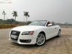 Audi A5   2010 - Cần bán xe Audi A5 đời 2010, màu trắng, nhập khẩu  