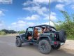 Jeep Wrangler   2009 - Bán Jeep Wrangler Sahara Unlimited năm sản xuất 2009, màu xanh lam, xe nhập