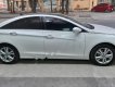 Hyundai Sonata   2010 - Cần bán gấp Hyundai Sonata năm 2010, màu trắng, nhập khẩu