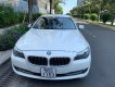 BMW 5 Series 523i 2010 - Bán xe BMW 5 Series 523i đời 2010, màu trắng, nhập khẩu, giá tốt