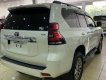 Toyota Prado   2019 - Bán xe Toyota Prado năm sản xuất 2019, xe nhập đẹp như mới