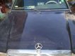 Mercedes-Benz 190 1990 - Bán Mercedes đời 1990, màu đen, xe nhập xe gia đình