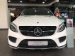 Mercedes-Benz GLE-Class 2019 - Bán nhanh chiếc xe Mercedes GLE 43 AMG 4Matic Coupe, sản xuất 2019, màu trắng, nhập khẩu nguyên chiếc