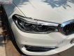 BMW 5 Series   2019 - Bán BMW 530i đời 2019, màu trắng, nhập khẩu 