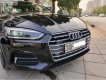 Audi A5 2018 - Cần bán xe Audi A5 sản xuất năm 2018, màu đen, nhập khẩu chính chủ