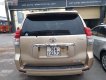 Toyota Land Cruiser 2010 - Cần bán Toyota Land Cruiser 2010, màu vàng, nhập khẩu  