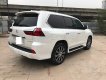 Lexus LX 570 2018 - Cần bán lại xe Lexus LX 570 đời 2018, màu trắng, nhập khẩu