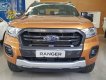 Ford Ranger Wildtrack 2019 - Bán nhanh chiếc xe bán tải Ford Ranger Wildtrak 2.0L AT, sản xuất 2019, giá cạnh tranh, giao xe tận nhà