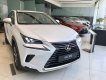 Lexus NX 2019 - Bán Lexus NX đời 2019, nhập khẩu nguyên chiếc