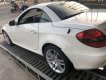 Mercedes-Benz SLK class 2010 - Cần bán lại xe Mercedes đời 2010, màu trắng, nhập khẩu, 950 triệu