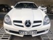 Mercedes-Benz SLK class 2010 - Cần bán lại xe Mercedes đời 2010, màu trắng, nhập khẩu, 950 triệu