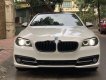 BMW 5 Series 520i 2015 - Cần bán BMW 5 Series 520i đời 2015, màu trắng, nhập khẩu