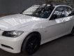 BMW 3 Series 2008 - Bán BMW 3 Series 320i năm sản xuất 2008, màu trắng, xe nhập, giá tốt