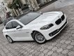 BMW 5 Series 2015 - Cần bán lại xe BMW 5 Series 520i 2015, màu trắng, nhập khẩu nguyên chiếc